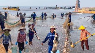 Ngư Dân May Mắn Gặp Ổ Cá Mai Dưới Chân Nhà Thờ Đổ Nam Định║Cánh Đồng Muối Đẹp Nhất Miền Bắc