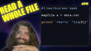 Understanding The `mapfile` builtin in Bash - You Suck at Programming #040