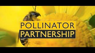 Pollinator Partnership - About Us