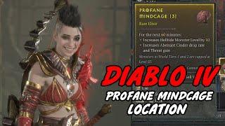 Diablo IV how to get profane mindcage?