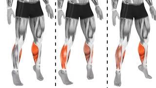 HOW TO INCREASE YOUR CALVES WITH JUST 3 EXERCISES