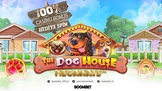 HAFTANIN KAZANANI AÇIK ARA BOOMBET ÜYELERİ OLUYOR!! DOG HOUSE DA HARİKA KAZANÇ