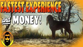 Fastest Experience for Beginners!! in thehunter Call of the Wild 2021