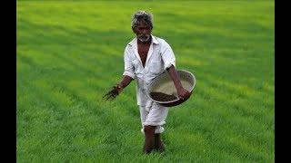 Budget 2019: Small, marginal farmers to get Rs 6,000 per year under PM Kisan Samman Nidhi