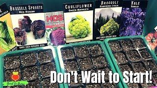 SEEDS We Are Sowing In March to Replace the Grocery Store | March Zone 5 Gardening