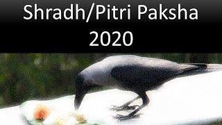 Shradh / Pitra Paksha 2020 Dates