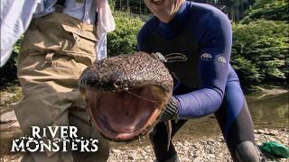 River Monsters Full Episode - Season 3, Episode 3 - Japanese Horrors