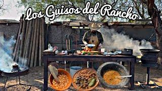 Higado Corazon Y Riñon Guisado En Masita (Reseta Alta En Proteina)