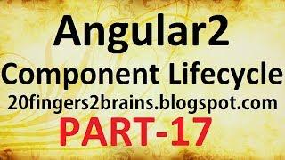 Angular 2 - Component Lifecycle