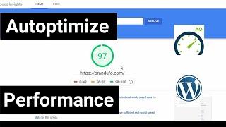 Best Settings for WordPress plugin Autoptimize to optimize website on google speed test Gtmetrix