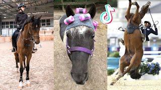 The Best HORSE TikTok Compilation #154