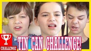 THE TIN CAN CHALLENGE!  |  KITTIESMAMA