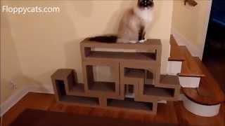 Katris Modular Cardboard Cat Scratcher Furniture Review - ねこ - ラグドール - Floppycats