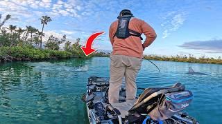 Fishing a $100 Bait for BIG Saltwater Fish!