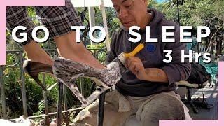 ASMR RELAX & SLEEP  3 Hours of SHOE SHINE WITH KAT | Street Shoe Shine  Mexico 