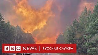 Пожары в России: горит минимум 60 тысяч гектаров леса
