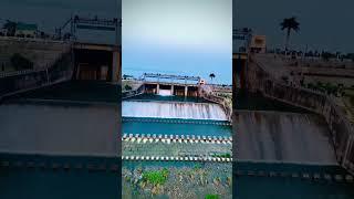 Gularbhoj Dam UK 06 Uttrakhand #videos #viralvideos #viral #shortsfeed #viralshort #viralvideo #s