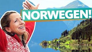Norwegen - Der Westen von Sognefjord bis Bergen (4K UHD) | ARD Reisen