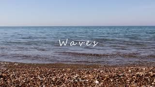 Summer x Guitar Lofi Type Beat "WAVES" | Prod. Xavier[FREE]