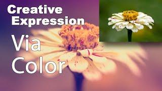 CREATIVE EXPRESSION (Via COLOR):Featuring The NIK COLLECTION/ Color Efex Pro 4...