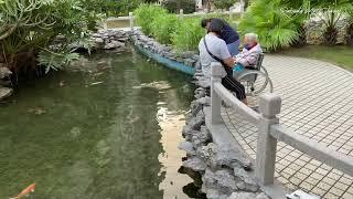 TRADITIONAL CHINESE STYLE GARDEN OF FLOWER CITY TAIPA / Ratsada My Channel