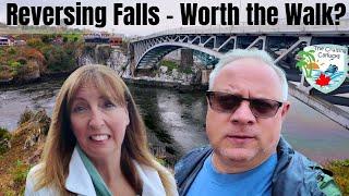 Exploring Saint John New Brunswick - Day 9 Emerald Princess Vlog