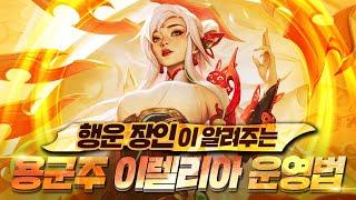 [롤토체스 11시즌] 지금부터 안 지면 풀 피! 피가 적다고 급해지시면 안 됩니다(롤토체스.tft)