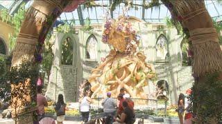 FIRST LOOK: Summer display at Bellagio Conservatory