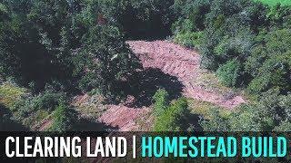 Clearing Land for our Future HOMESTEAD!