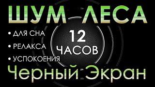 Шум леса, Белый шум, Звуки природы, Пение птиц 12 часов Сладкий Шум для Сна, Релакса, Успокоения #58