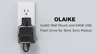 blink sync module 2 Outlet Mount With 64GB USB Flash Drive