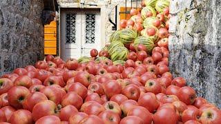 6000 Apples and 800 watermelons on the stairs  - Blender rigid body Simulation