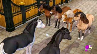 Buying All the New Gotland Ponies Star Stable Online Update Video