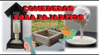 3 COMEDEROS caseros para PÁJAROS | LATIN DIY