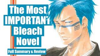 Bleach CFYOW Vol. 1 in 2023! The Novel that has ALL the Answers! FULL Summary & Review - Bleach Boys