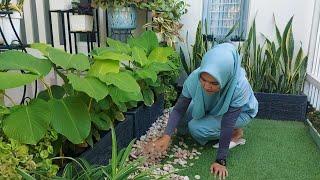 Taman baru di halaman depan rumah desa