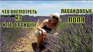 ЭТО нужно УВИДЕТЬ! ЮГ ФРАНЦИИ | ЛАВАНДОВЫЕ ПОЛЯ | ЧТО посетить в ПРОВАНСЕ? Горы котовые РОЖАЮТ