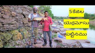 Yerramosu(యెర్ర మోసు చాప)CATCHING by friendly fishing team|| kurnool atmakur|| teluguganga