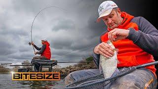 Steve Ringers' ULTIMATE Skimmer Feeder Fishing Tips | Guru Bitesize #050