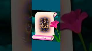 beautiful Islamic TikTok Video #tiktok #youtubeshorts #islamicstatus #shorts #shor,