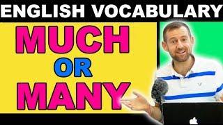 MUCH or MANY?? ESL Vocabulary