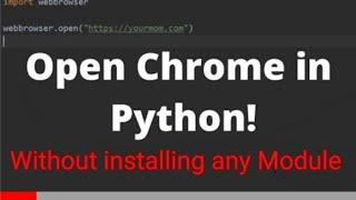Open Browser and start a URL in Python - without installing any Module