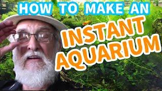 How to Setup A Natural Aquarium | Low Maintenance Quick and Easy