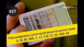 Расшифровка категорий водительских прав. A, B, B1, B1E, C, C1, C1E, D, D1, D1E, M