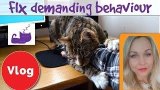 How to fix demanding cat behaviour