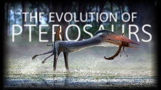 The Evolution of Pterosaurs