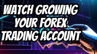 Forex Copy Trading | Automated Forex Trading | Copy Trade | Account Management Forex | Forex Account