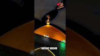 HAIDAR E KARRAR|MAULA WHATSAPP STATUS #duaezahra #viral #new#mazarefatima #whatsappstatus#newvideo