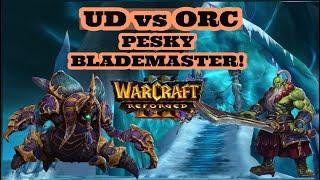 Pesky Blademaster! | Warcraft 3 Champions | Undead vs Orc