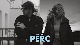 PERC - Gdaal x Aneea  |  OFFICIAL MUSIC VIDEO